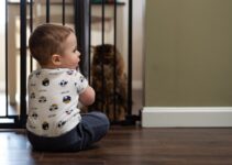 The Best Baby Gates in 2022 (Safety and Convenience)