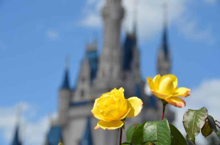 Disney World Stroller Rental