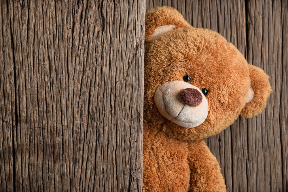 50 of the Most Popular Teddy Bear Names for Your Stuffed Animals